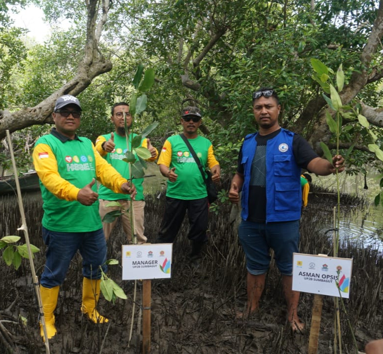 PT PLN (Persero) Bersama HNSI Dan Relawan Wak Young Tanam Pohon Mangrove
