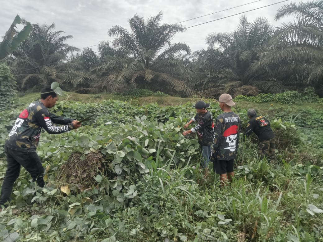 Kepedulian DPC Satgasus Grib Jaya Langkat, Gelar Aksi Gotong Royong