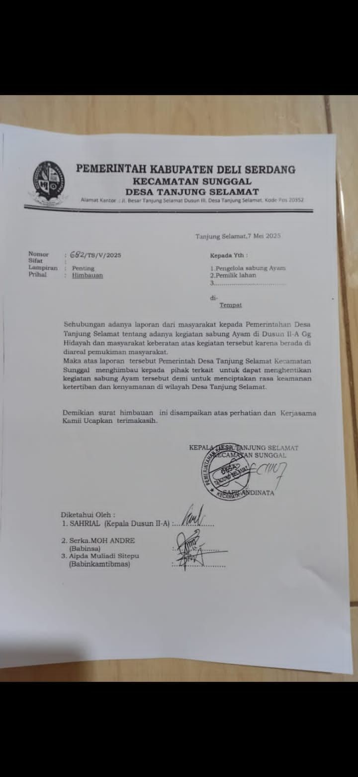 Warga Resah, Judi Sabung Ayam di Gang Hidayah dan Gang Taufik Sunggal Semakin Marak Meski Sudah Diperingatkan