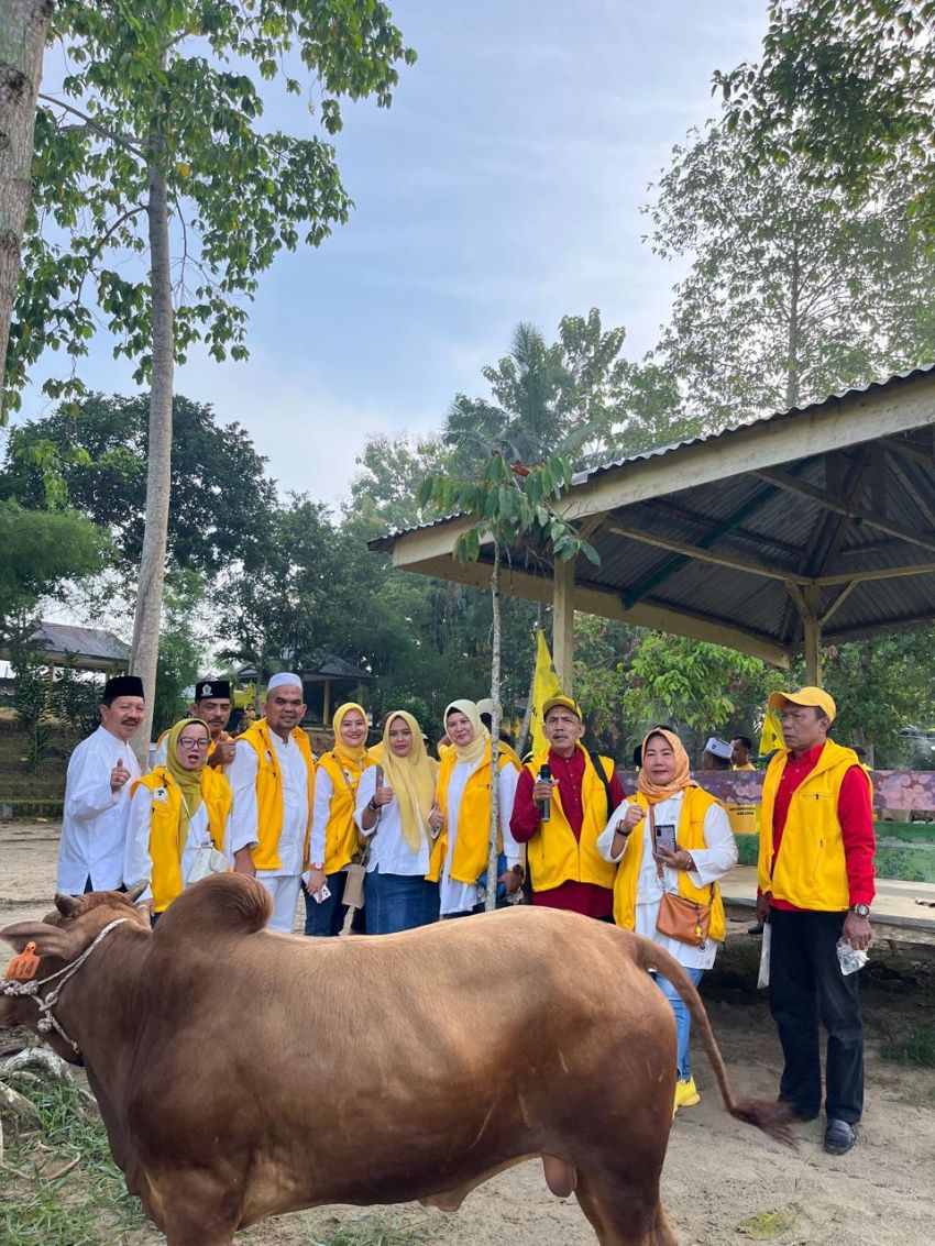 DPD Partai Golkar Sumut Laksanakan Kurban 110 Ekor Lembu dan 4 Kambing se-Sumut