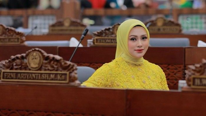 Profil Erni Ariyanti Sitorus, Ketua DPRD Sumut yang Dikritik Warganet Soal 4 Pulau Aceh