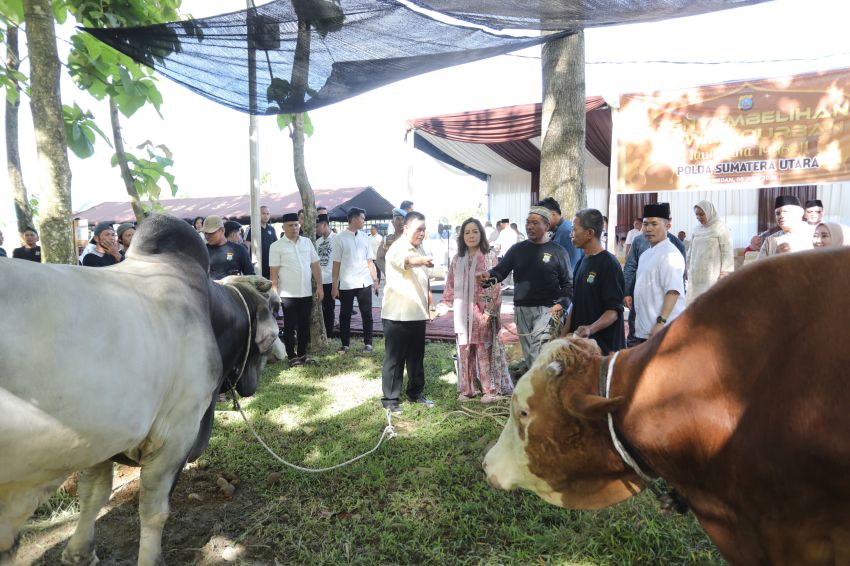 Polda Sumut Salurkan Ribuan Paket Daging Kurban untuk Masyarakat di Hari Raya Idul Adha 1446 Hijriyah