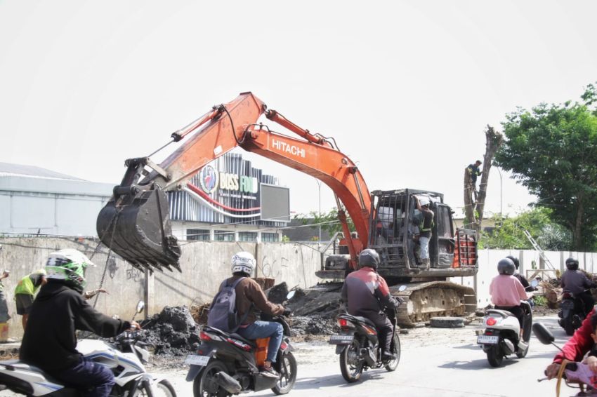 Alasan Drainase, Dinas SDABMBK Kota Medan Sengaja Tebang Pohon, Petugas: Kami Cuma Jalankan Perintah