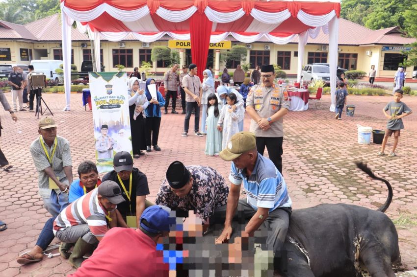 Kapolres Langkat Serahkan 12 Ekor Sapi dan 5 Ekor Kambing Kurban di Momen Idul Adha