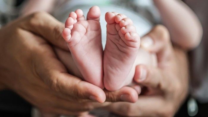 Polisi Ungkap Sindikat Penjualan Bayi ke Singapura, 12 Orang Ditangkap
