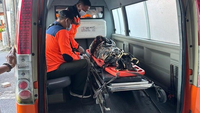 Pria Ini Tewas Diserang Ayam Laga