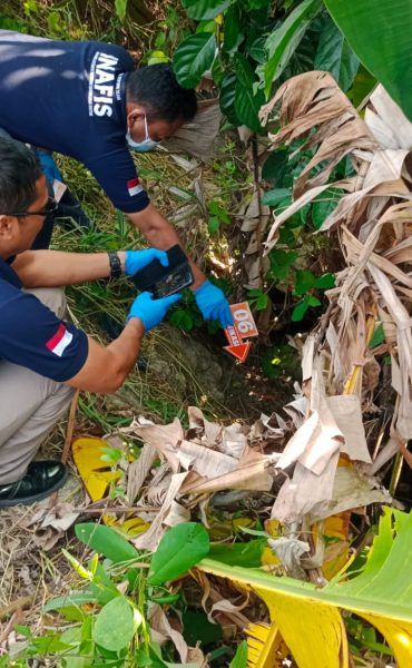 Ada Tengkorak Pria Ditemukan di Bawah Pohon Sawit di Deli Serdang