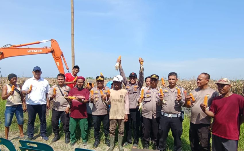 Polsek Medan Barat Gelar Panen Raya Jagung Serentak Kuartal II