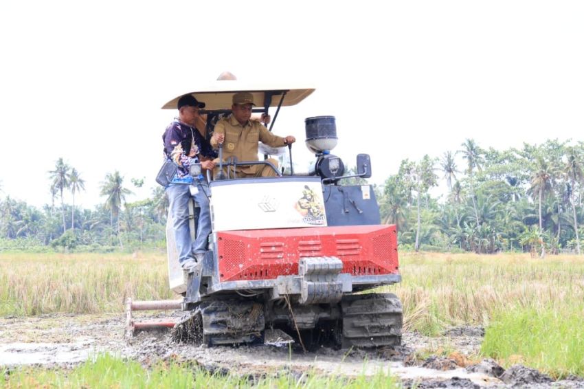 Pemkab Sergai Optimalisasi Lahan Rawa  Guna Tingkatkan Produksi Pertanian