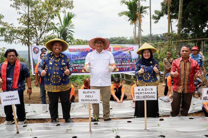 Sibolangit Jadi Sentra Cabai dan Kawasan Wisata