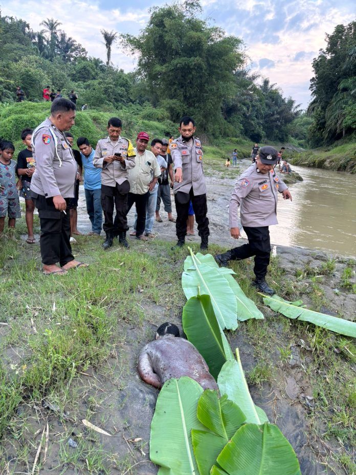 Warga  Ditemukan jadi Mayat di Pinggir Sungai Belumai