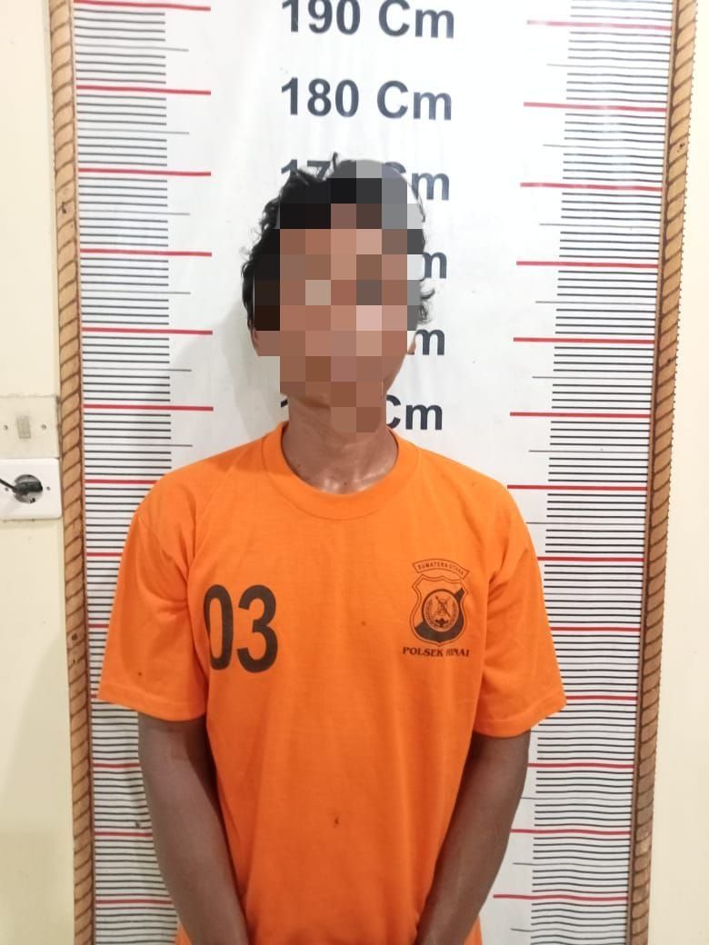 Polsek Hinai Berhasil Tangkap Gondrong di Barak 100 Madina, Pelaku Pencurian dengan Pemberatan