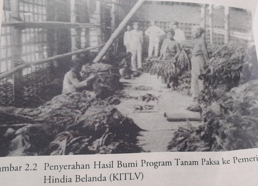 Jejak Tanam Paksa dan Lahirnya Perkebunan Industri di Indonesia