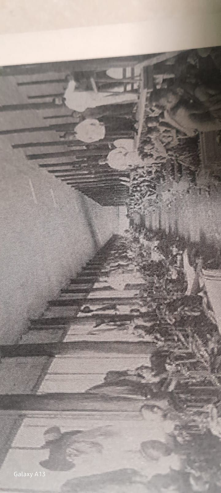 Perkebunan yang Mengubah Sejarah
