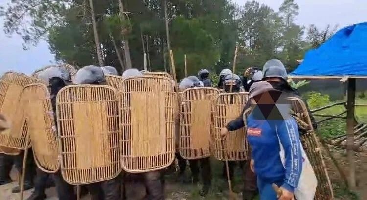 Kronologi Mencekam Sekuriti-Pekerja Toba Pulp Lestari Serbu Warga Adat Sihaporas