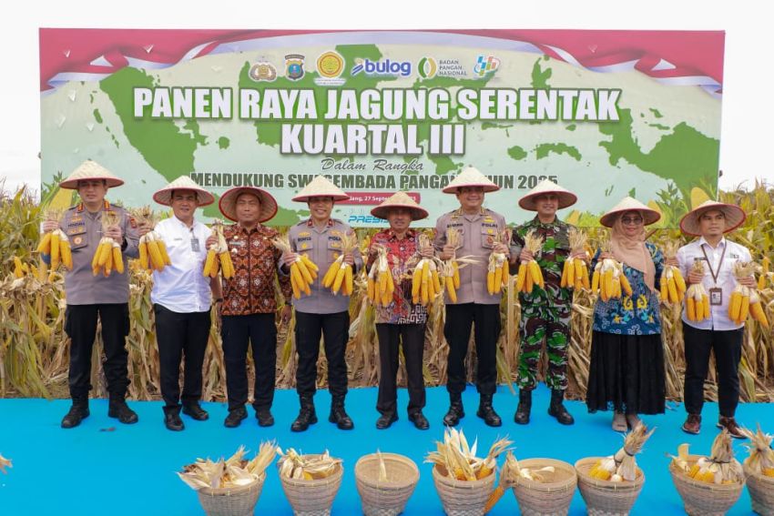 Panen Raya Jagung Kuartal III: Polda Sumut Komitmen Wujudkan Swasembada Pangan