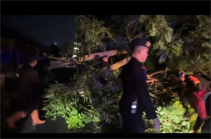 Brimob Polda Sumut Sigap Evakuasi Pohon Tumbang di Pematangsiantar