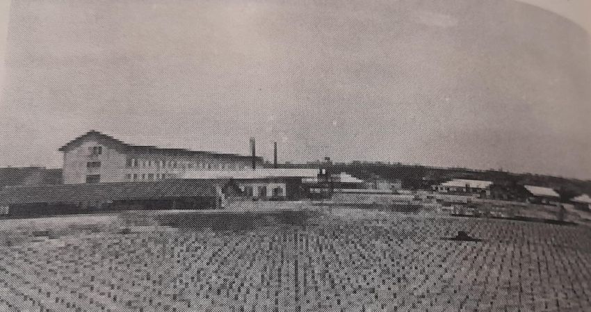 Kekuasaan di Tanah Deli hingga Simalungun, Dari Eksperimen Sawit hingga Kebun Teh di Lereng