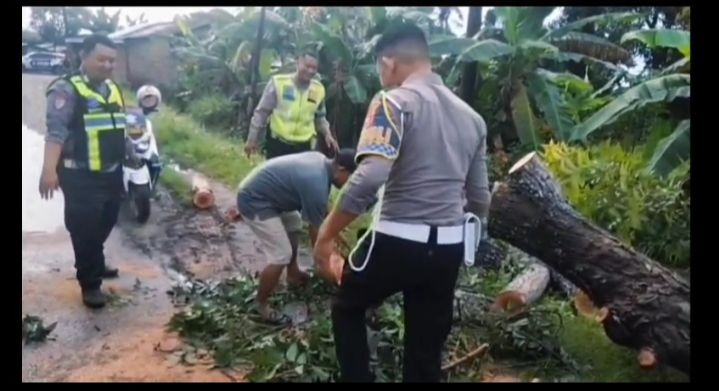 Sat Lantas Polres Sergai Bersihkan Pohon Tumbang di Jalinsum Sei Bamban