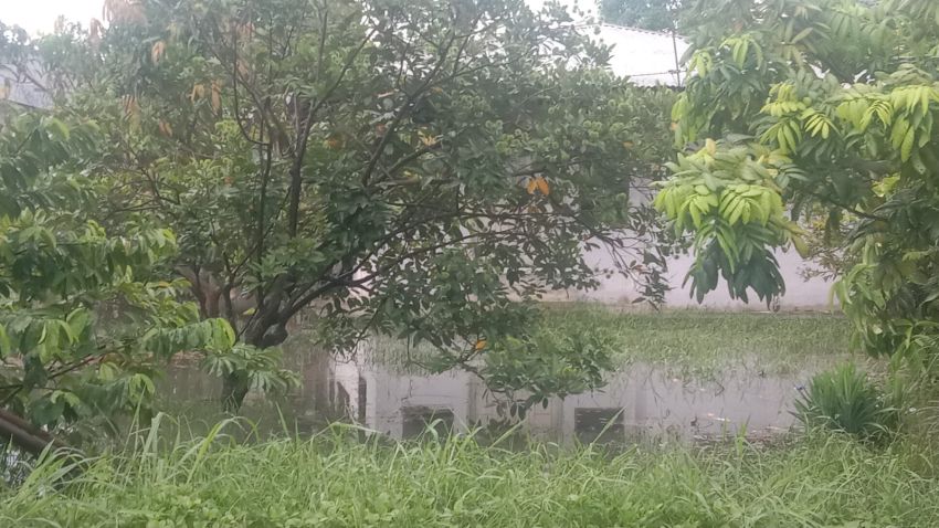 Genangan Air Warnai Acara Sapa Warga dan Gotong Royong Wali Kota Medan di Mabar Hilir