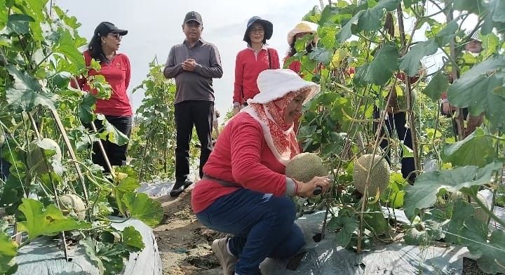 Program MBG Presiden Prabowo: Dorong Gizi Siswa dan Dongkrak Pendapatan Petani Sergai
