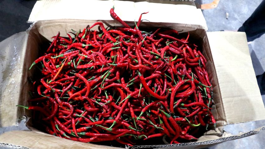 Anggota DPRD Kritik Pemprov Sumut Soal Edaran Pembelian Cabai dari Jawa Timur