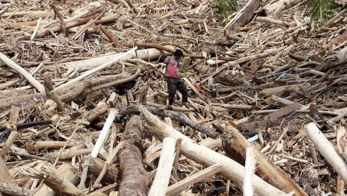 Teka-teki Gelondongan Kayu Terbawa Banjir di Sumatera
