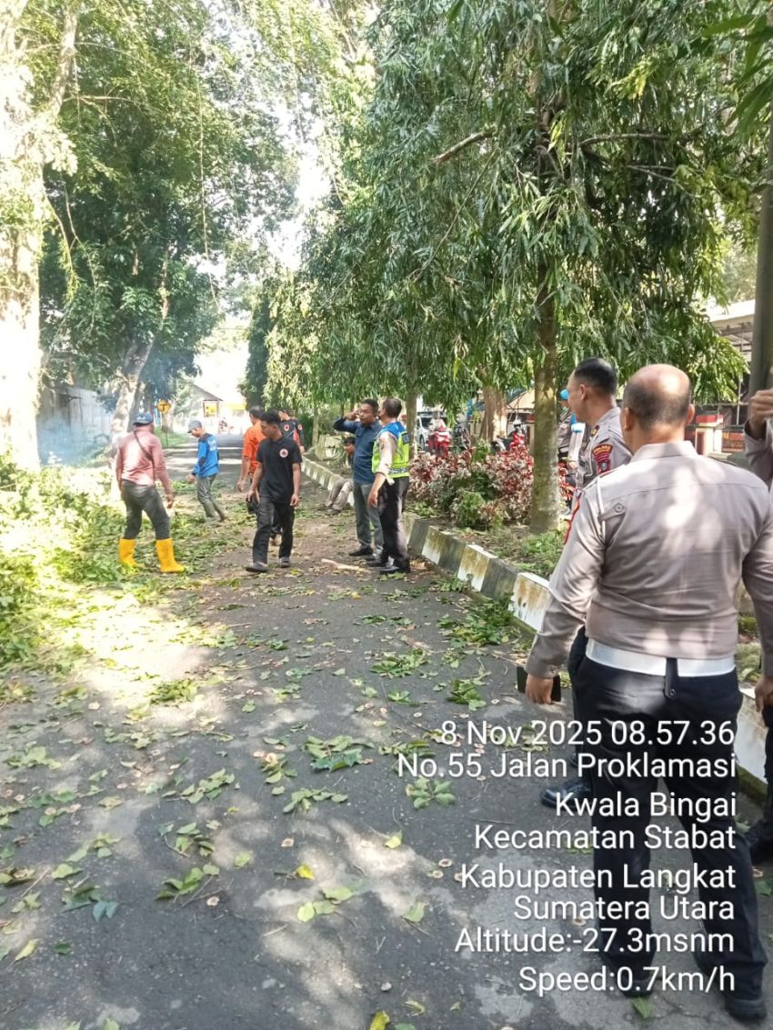 Satlantas Polres Langkat Bergerak Cepat Bersama DLH dan BPBD, Bersihkan Pohon Tumbang