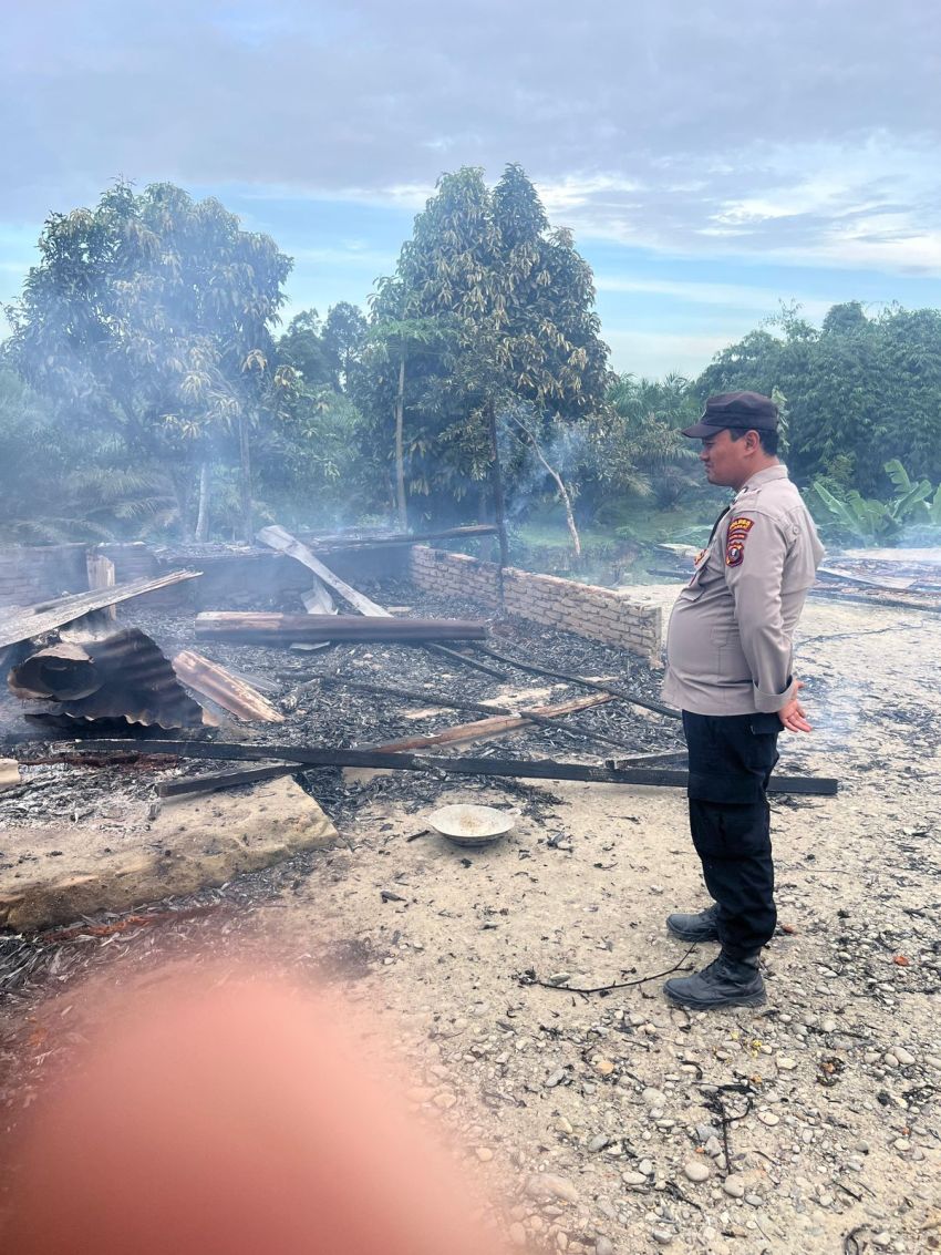 Gubuk Sarang Narkoba Dibakar Warga, 1 Tersangka Pengedar Ditangkap
