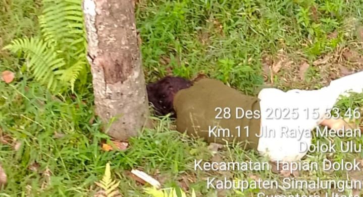Tersangka Yang Habisi Cewek 15 Tahun di Simalungun Ditangkap