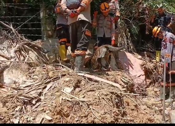 Tim K-9 Polri Maksimalkan Pencarian Korban Longsor di Sibolga, Polda Sumut : Upaya Terus Dimaksimalkan