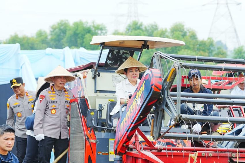 Polda Sumut dan Polres Jajaran Ikuti Panen Raya Jagung Serentak Polri