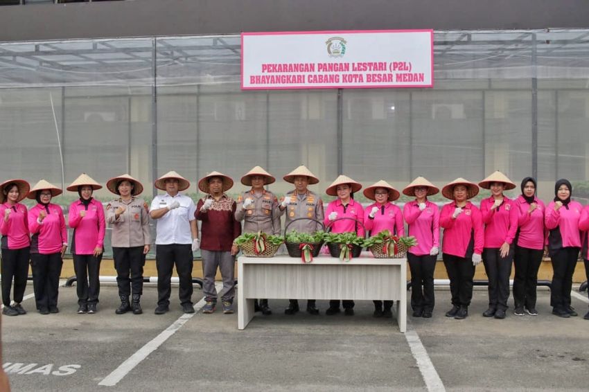 Kapolrestabes Medan dan Bhayangkari Panen Sayur Hidroponik