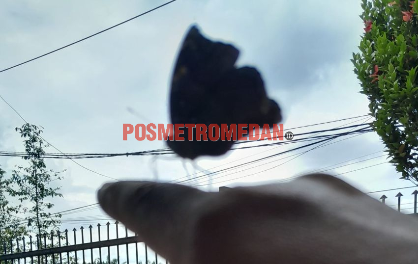 BMKG: Cuaca Kota Medan, Senin 23 Februari Diselimuti Awan