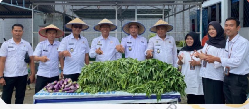 Wujud Nyata Dukung Ketahanan Pangan, Lapas Muara Bungo Panen Sayur Terong dan Kangkung