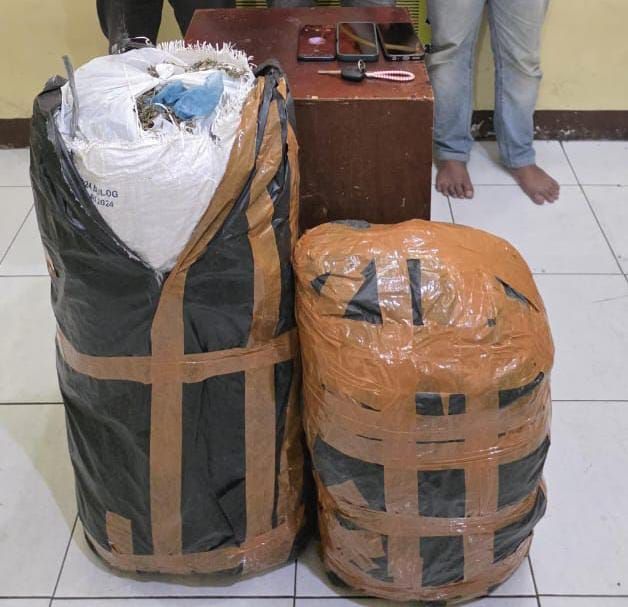 Polda Sumut Gagalkan Peredaran 20 Kg Ganja Asal Aceh, 3 Pelaku Diamankan di Setia Budi Medan