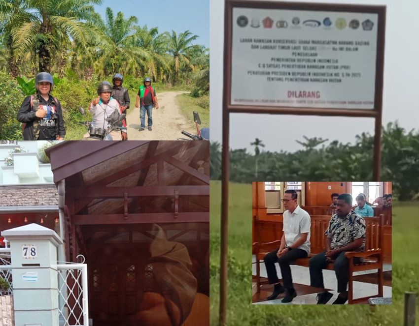 Divonis 10 Tahun dan Denda Rp856,8 Miliar  Akuang Tak Ditahan, TBS Sawit Masih Dipanen