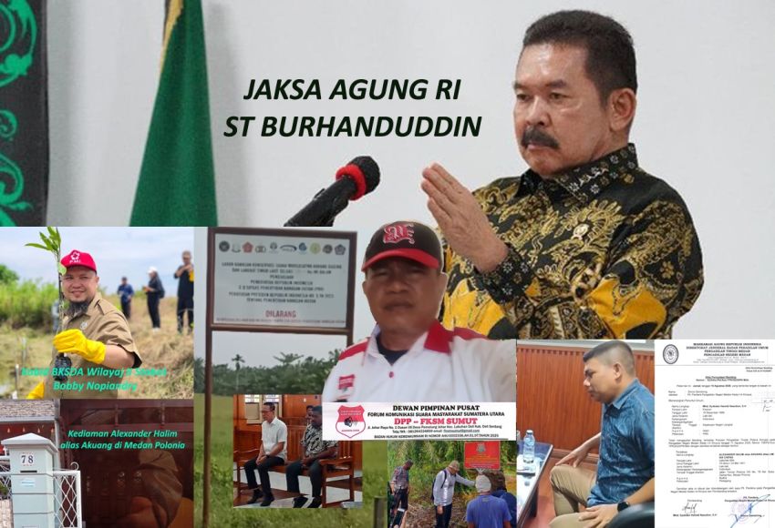 Akuang  Bebas Panen Sawit Ditaksir  Senilai Ratusan Miliar dari Objek Sitaan