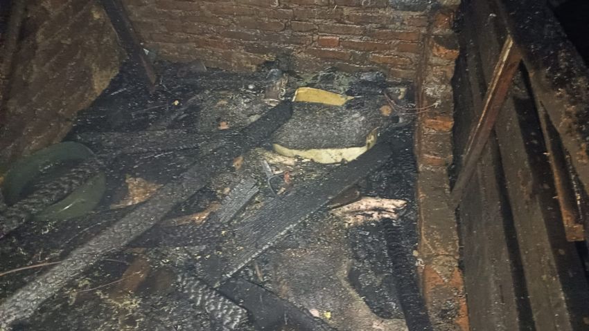 Kandang Ternak Terbakar, 6 Ekor Ternak Mati Terpanggang