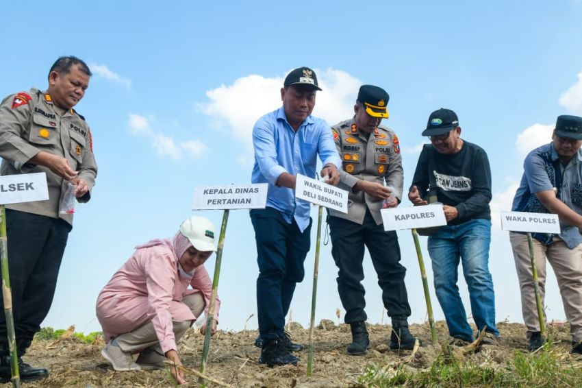 Sinergitas Polres Pelabuhan Belawan & Pemkab Deli Serdang Dukung Ketahanan Pangan