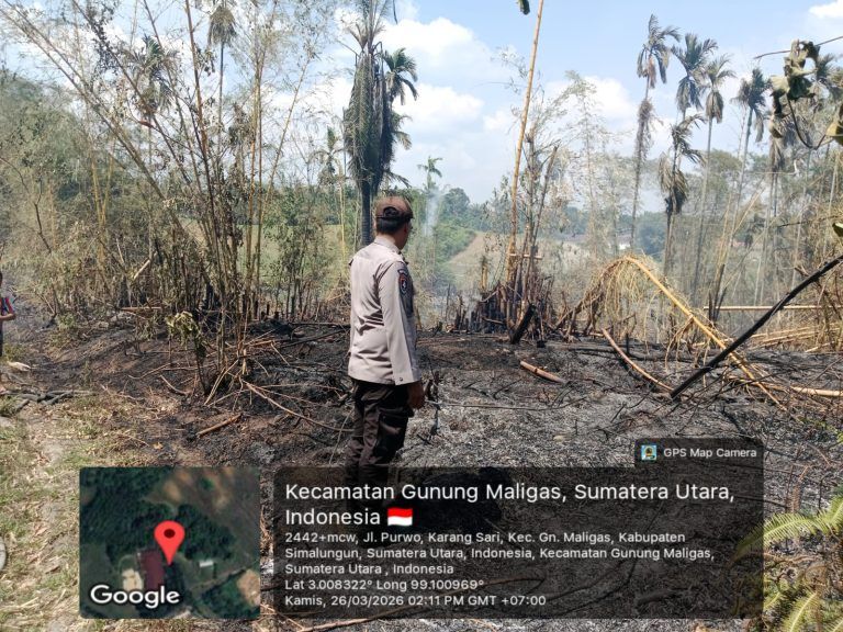 Gercep!  Polres Simalungun Tangani Kebakaran Lahan 4 Hektar