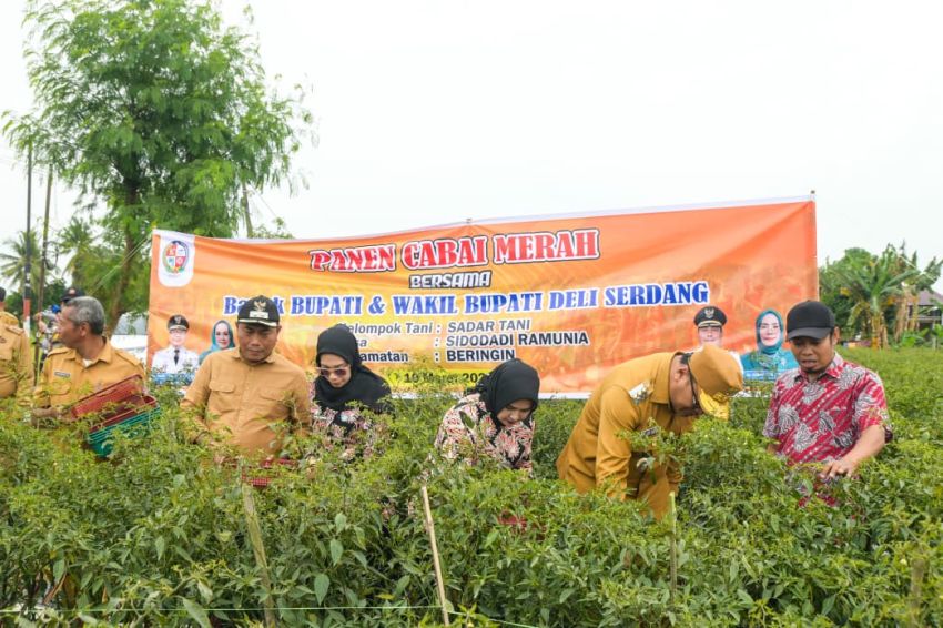 Pemkab Deli Serdang Siapkan Intervensi Pasar Jaga Stabilitas Harga & Daya Jual