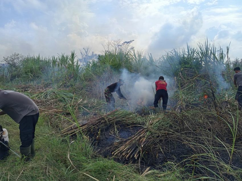 Sekelompok Penggarap Masuk ke Lahan PTPN Bakar dan Tanami Lahan, Timbulkan Asap Tebal