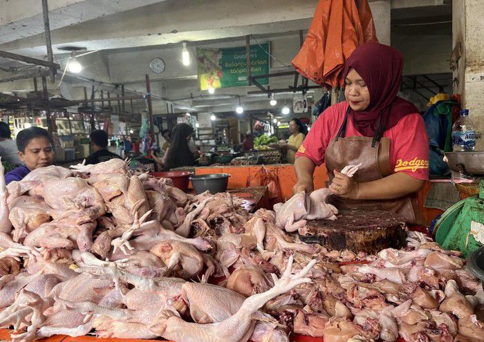 Harga Daging Ayam di Pasar Tradisional di Sumut Mulai Turun