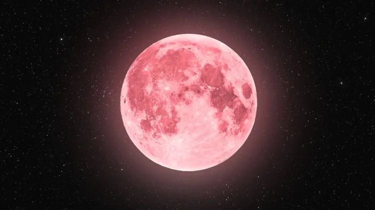 Fenomena Pink Moon 2026, Catat Tanggalnya!