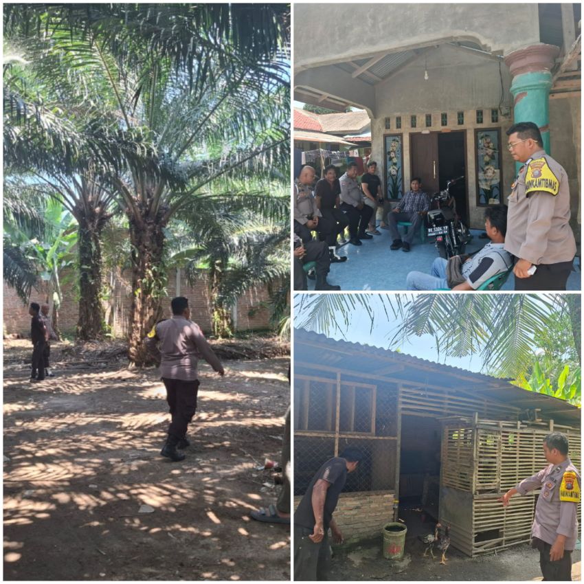 Polsek Pantai Labu Tindak Lanjuti informasi Media Terkait Judi Sabung Ayam