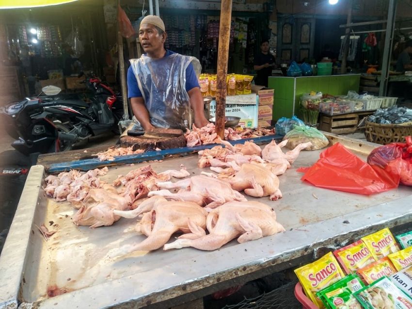 Harga Ayam Broiler di Rantauprapat Terkoreksi Turun, Ayam Kampung Stabil