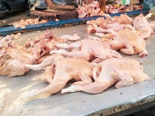 Hari Ini, Harga Ayam Potong di Labuhanbatu Turun jadi Rp30 Ribu per Kg