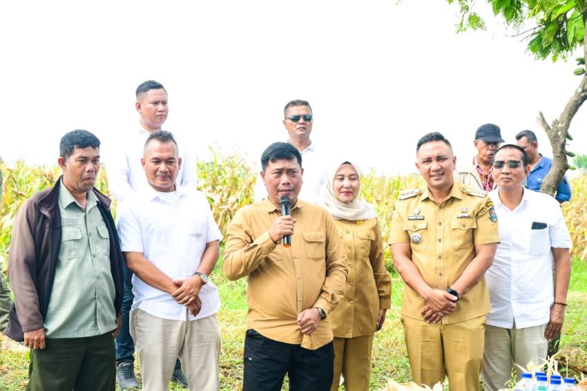 Produksi Jagung Saentis Meningkat, Wabup Tekankan Pentingnya pendataan untuk Hilirisasi