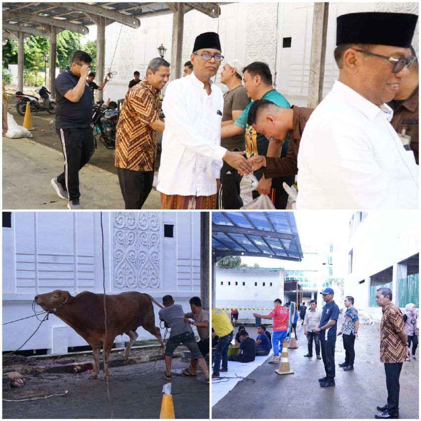 Idul Adha 1447 H, Kejaksaan Tinggi Sumatera Utara Sembelih 13 Ekor Sapi & 2 Ekor Kambing